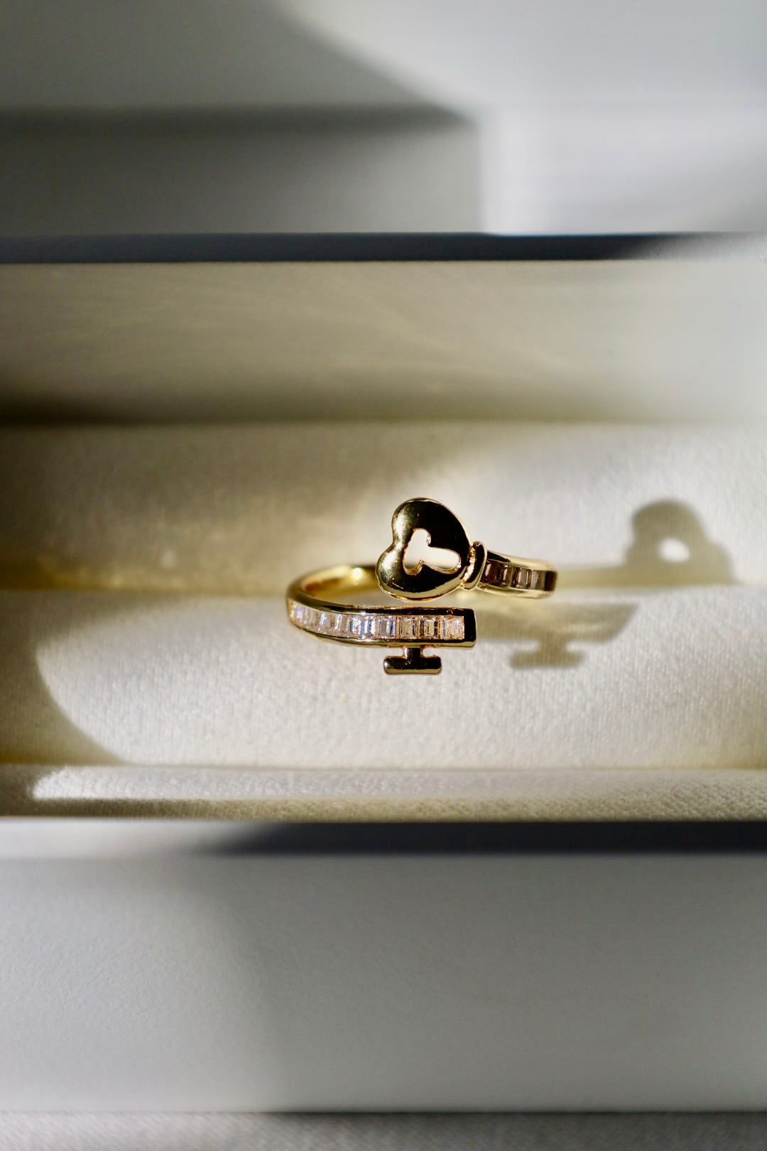Valency key ring (adjustable)