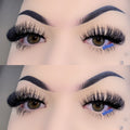 laelia lashes♡
