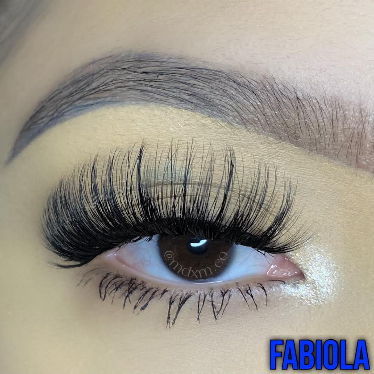 Fabiola Lashes ❀
